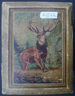Album A III 4_2 – zeitlich frühestes der Alben im Vereinsarchiv; begonnen 1865